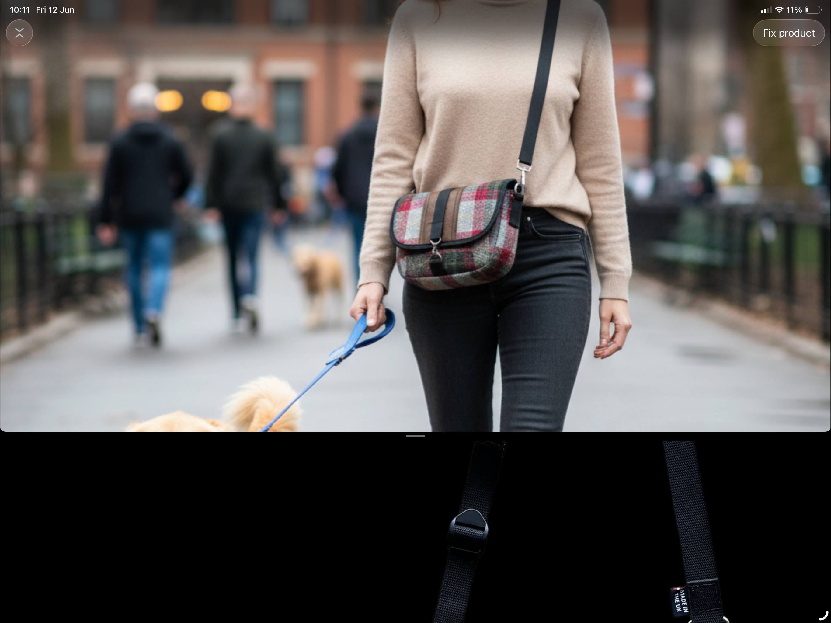 Field dog walker system